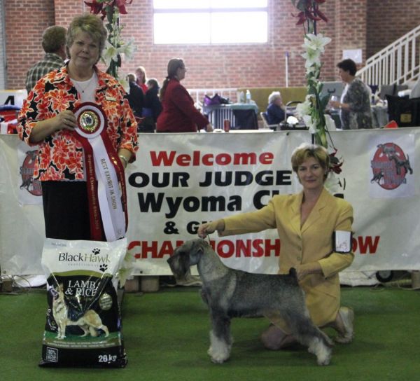 11th Sept Ch Show 2013. Judge; Wyoma Clouss (USA) – Schnauzer Club of ...