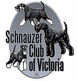 Schnauzer Club of Victoria Logo